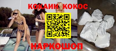 индика Кандалакша