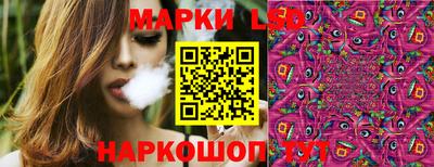 apvp Камышлов