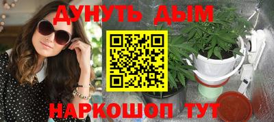 индика Кандалакша