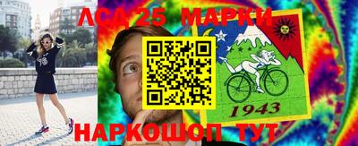apvp Камышлов