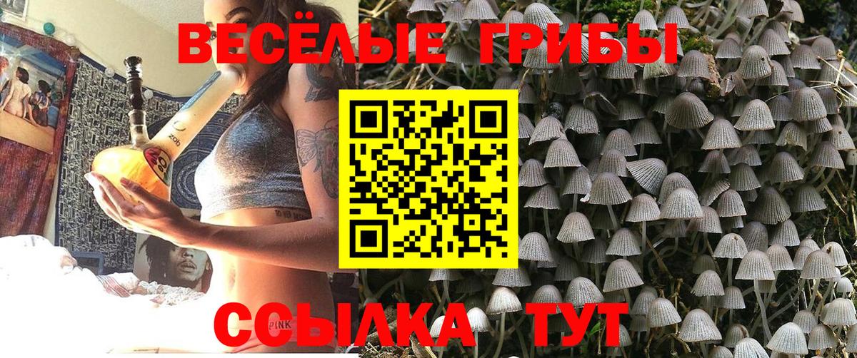 Галлюциногенные грибы ЛСД  Вход с VPN  Конаково 