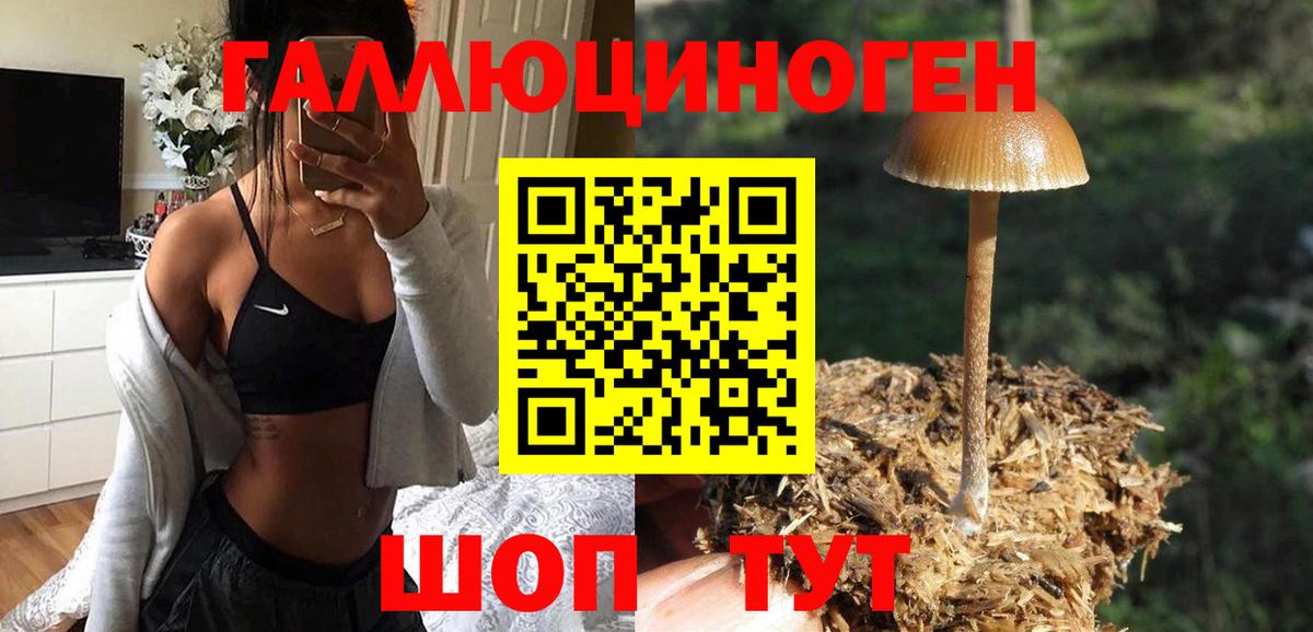 Псилоцибиновые грибы мухоморы Конаково